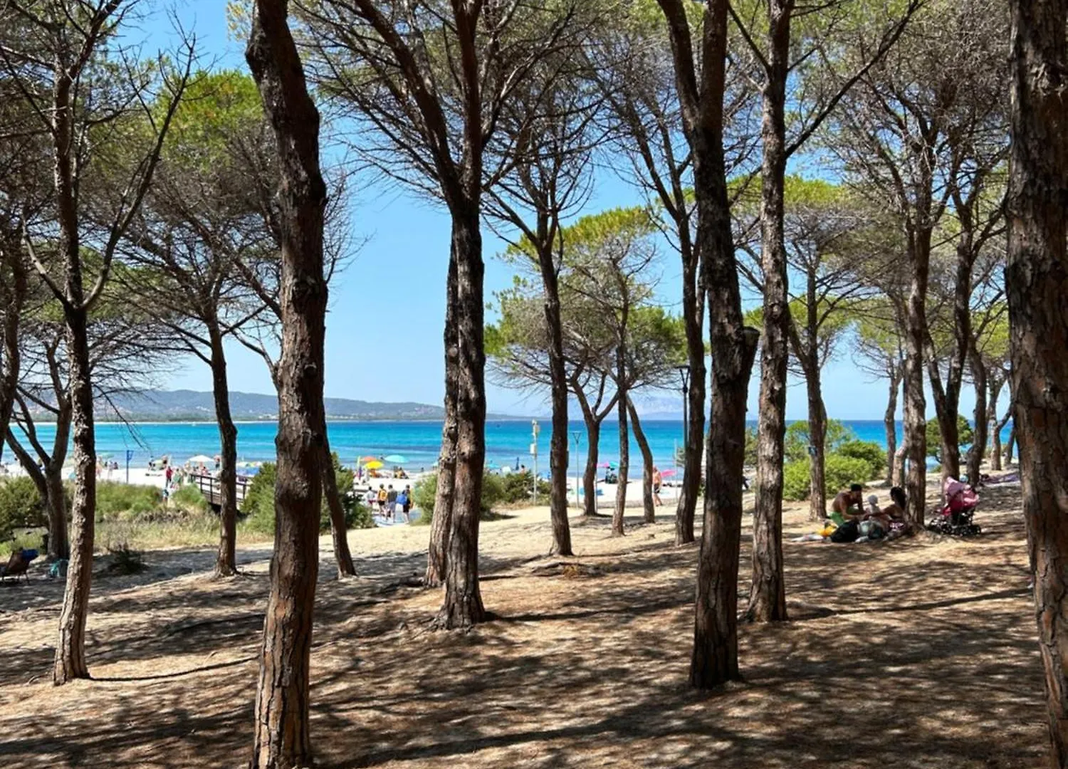 Villa Luca بودوني