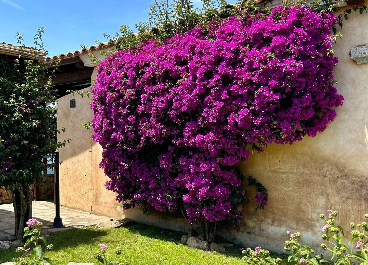 Villa Luca بودوني